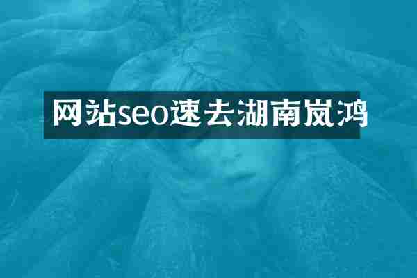 网站seo速去湖南岚鸿