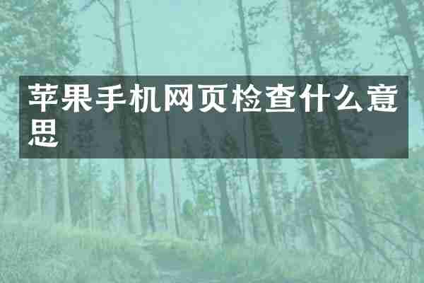 苹果手机网页检查什么意思