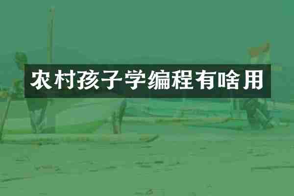 农村孩子学编程有啥用