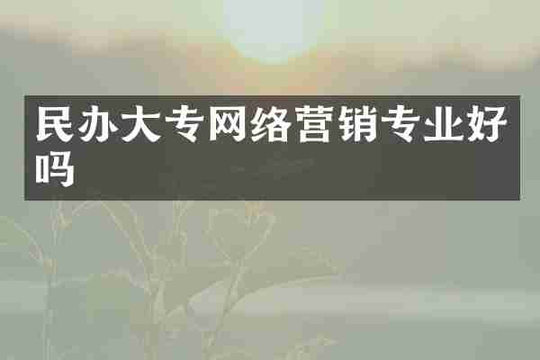 民办大专网络营销专业好吗