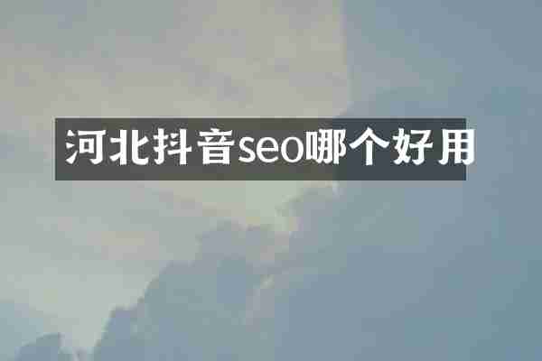 河北抖音seo哪个好用