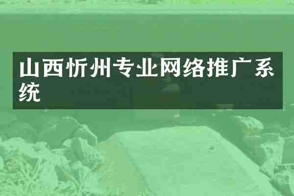 山西忻州专业网络推广系统