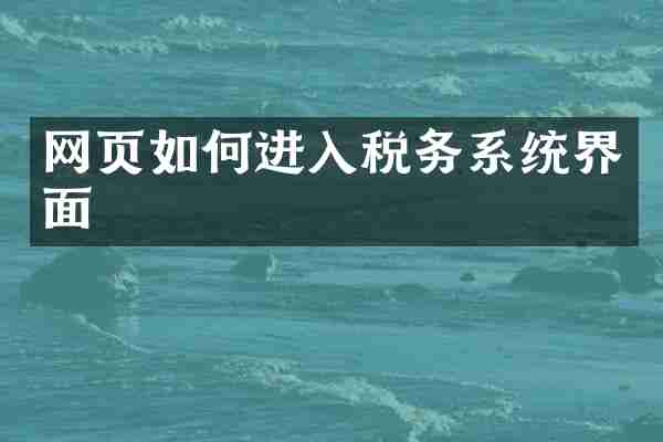 网页如何进入税务系统界面