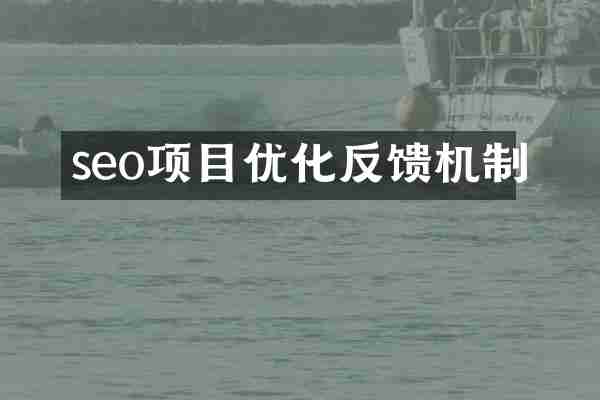 seo项目优化反馈机制