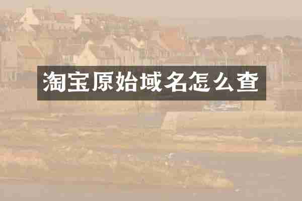 淘宝原始域名怎么查