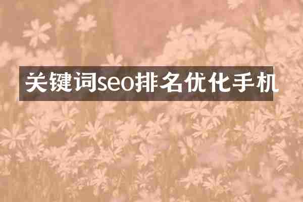 关键词seo排名优化手机