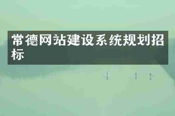 常德网站建设系统规划招标