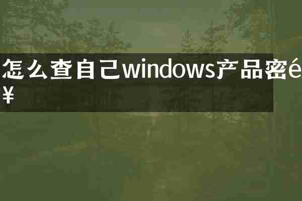 怎么查自己windows产品密钥