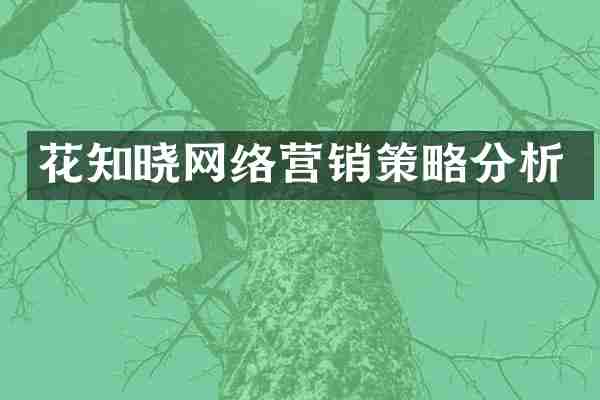 花知晓网络营销策略分析
