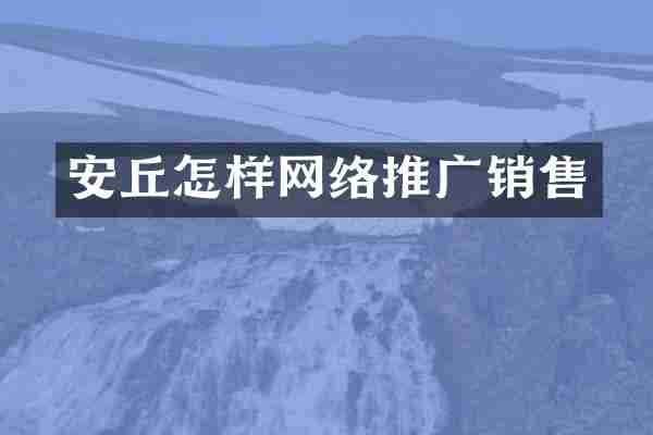 安丘怎样网络推广销售