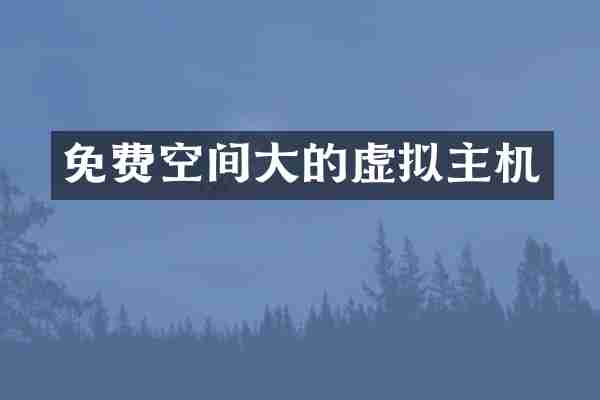免费空间大的虚拟主机