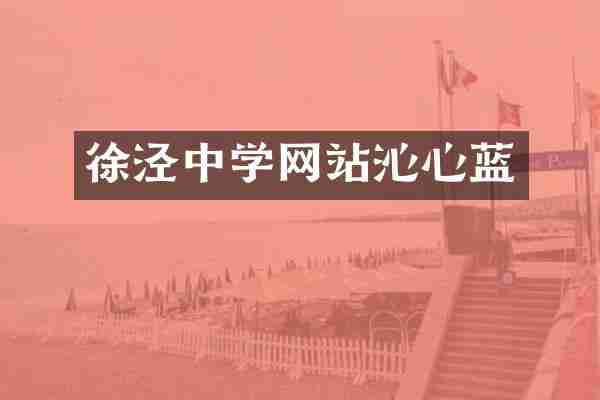 徐泾中学网站沁心蓝