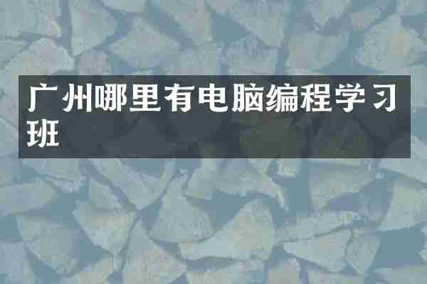 广州哪里有电脑编程学习班