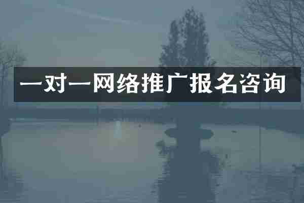 一对一网络推广报名咨询