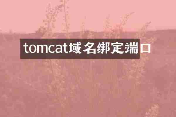 tomcat域名绑定端口