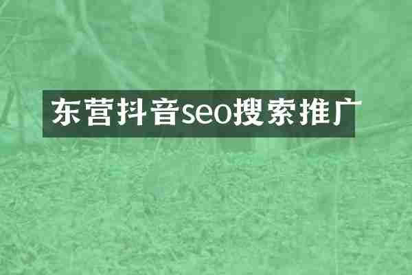 东营抖音seo搜索推广