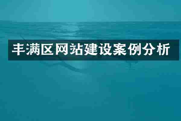 丰满区网站建设案例分析