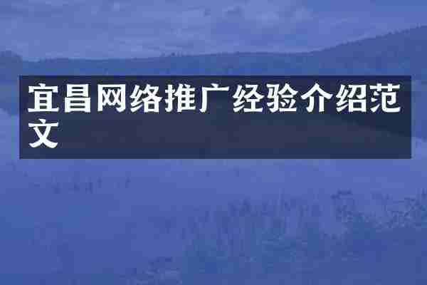 宜昌网络推广经验介绍范文