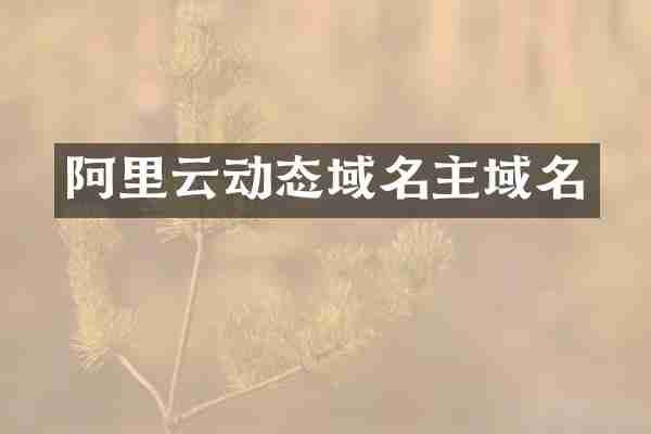 阿里云动态域名主域名