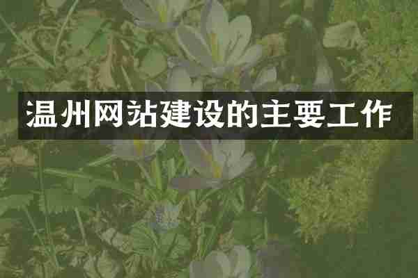 温州网站建设的主要工作