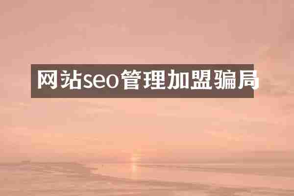 网站seo管理加盟骗局