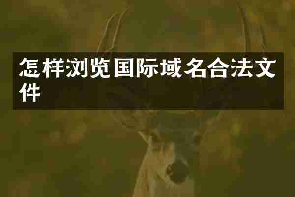怎样浏览国际域名合法文件