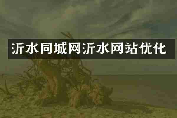 沂水同城网沂水网站优化