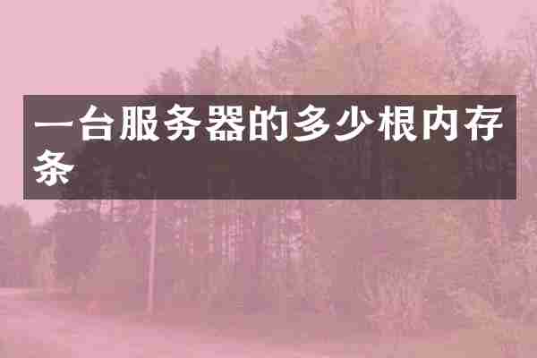 一台服务器的多少根内存条