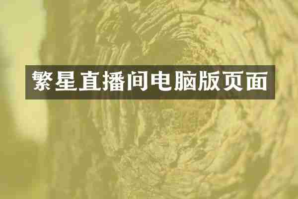 繁星直播间电脑版页面