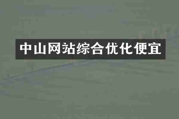 中山网站综合优化便宜