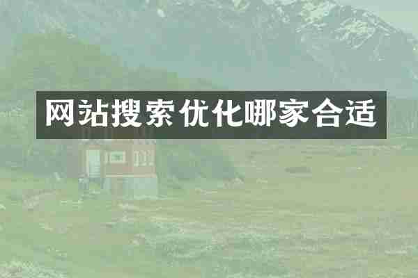网站搜索优化哪家合适