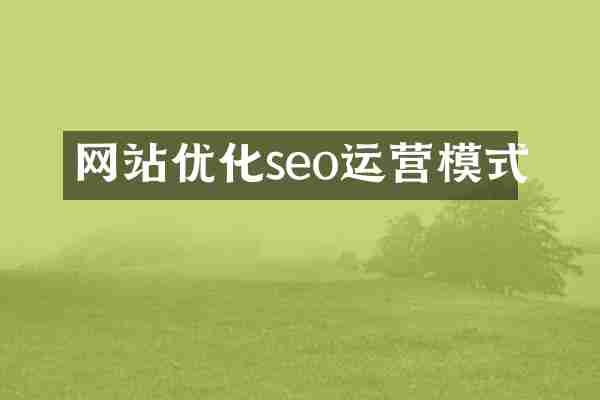 网站优化seo运营模式