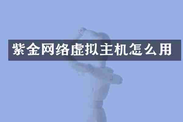 紫金网络虚拟主机怎么用