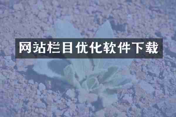 网站栏目优化软件下载
