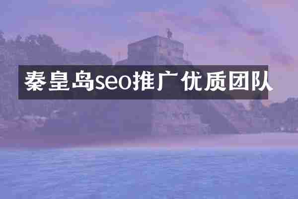 秦皇岛seo推广优质团队