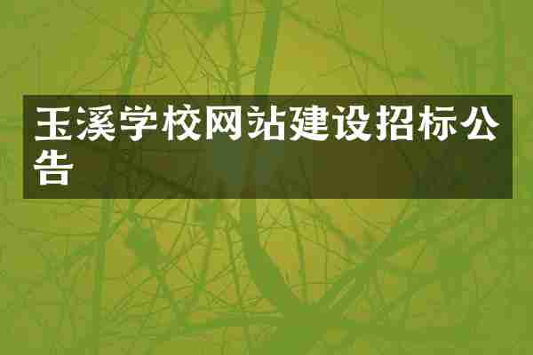 玉溪学校网站建设招标公告