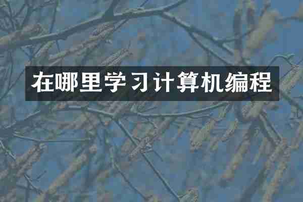 在哪里学习计算机编程
