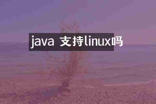 java 支持linux吗