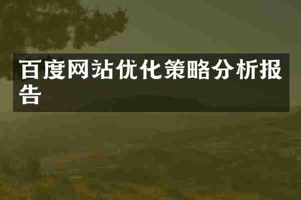 百度网站优化策略分析报告