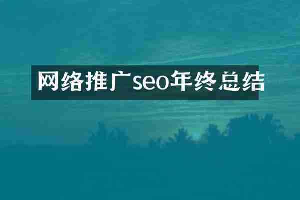 网络推广seo年终总结