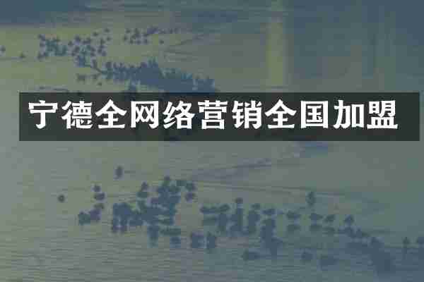 宁德全网络营销全国加盟