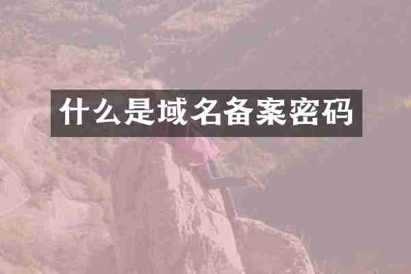 什么是域名备案密码