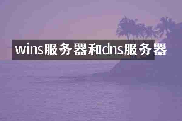 wins服务器和dns服务器