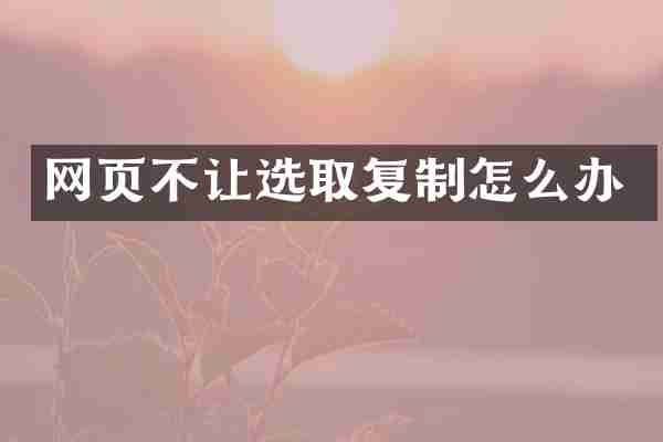 网页不让选取复制怎么办