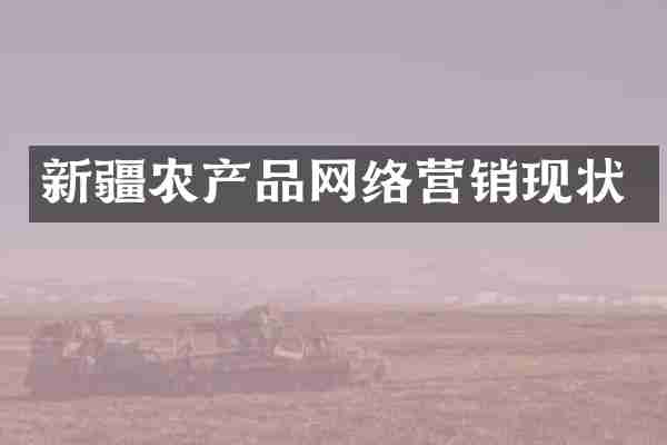新疆农产品网络营销现状