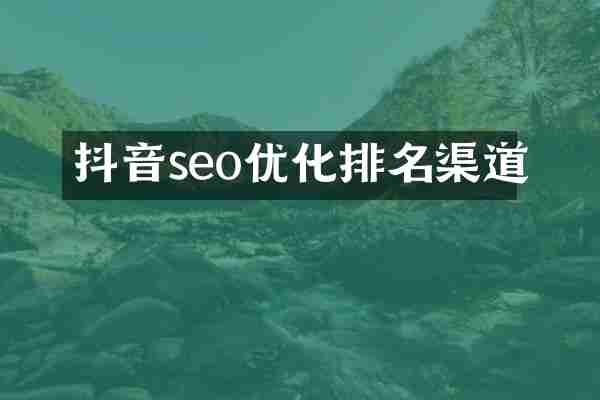 抖音seo优化排名渠道