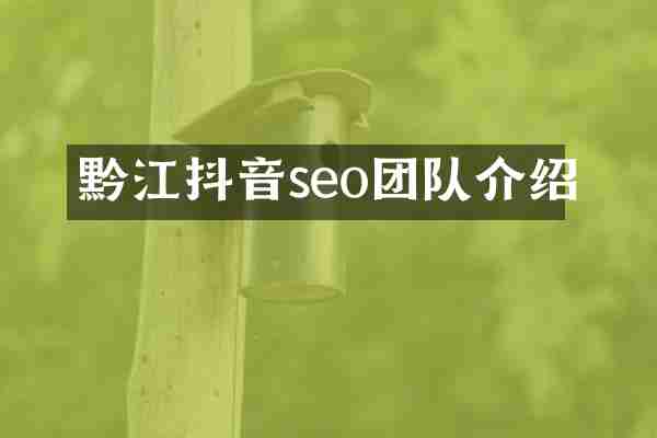 黔江抖音seo团队介绍