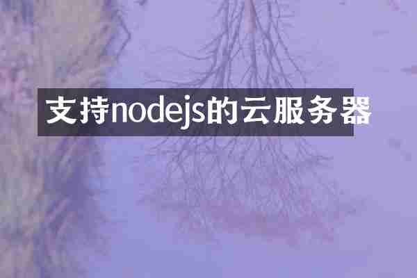 支持nodejs的云服务器