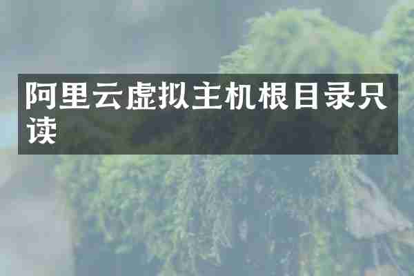 阿里云虚拟主机根目录只读