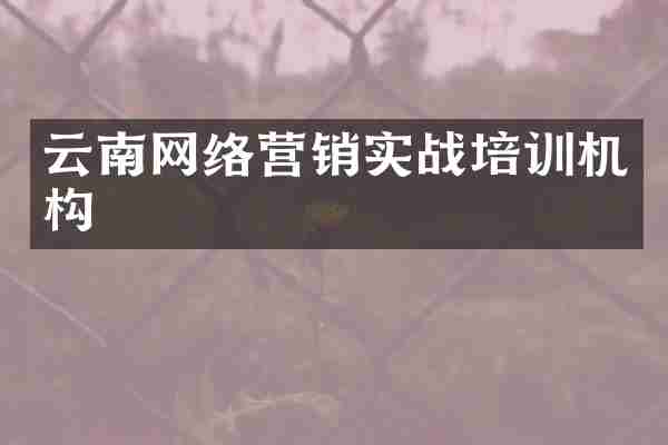 云南网络营销实战培训机构
